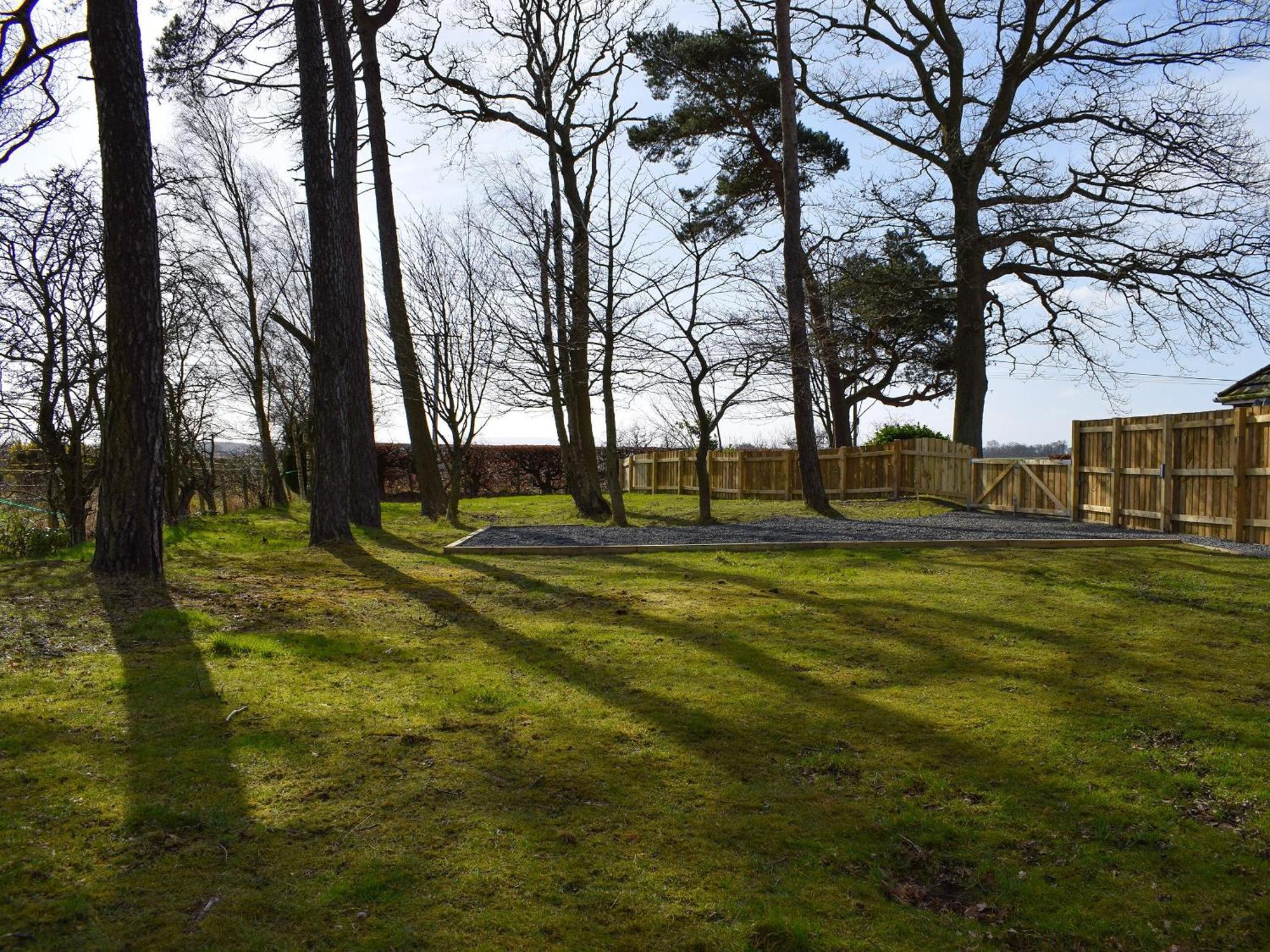 Pinewood Cabin Saline Exteriér fotografie